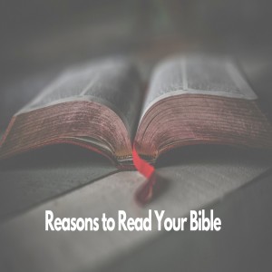 Reason to Read Your Bible
