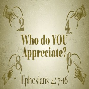 Who Do We Appreciate? (Pt.2)