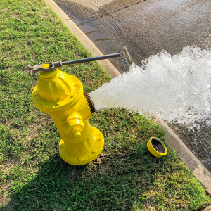 Flushing for Water Quality