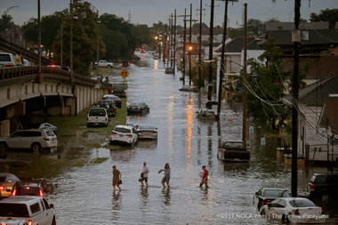 Before the Flood