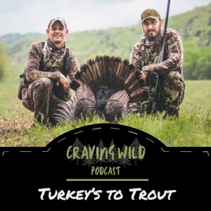 Turkey’s to Trout