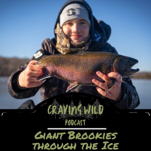 Giant Brookies through the Ice