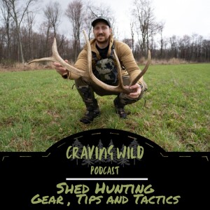 Shed Hunting Gear, Tips and Tactics