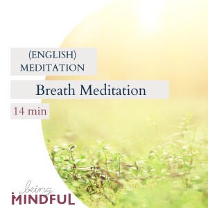 Breath Meditation (en) - 14min