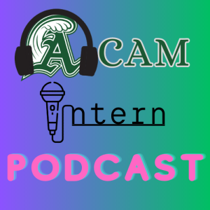 ACAM Intern Podcast Ep 1: Mario, Meatballs, and Marinara