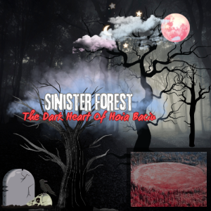 ”The Sinister Forest” The Dark Heart of Hoia Baciu