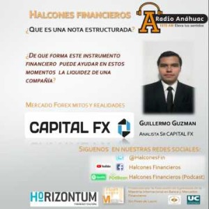 Notas Estructuradas -Guillermo Guzmán Capital FX