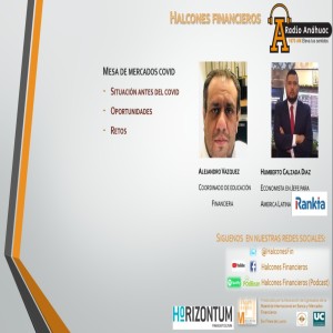 Mesa Bursátil y Económica Covid-Alejandro Vazquez - Huberto Calzada Diaz