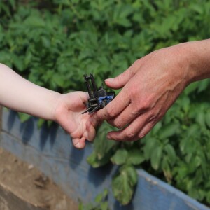 The Sligo Childrens Community Garden Interview for the Bestie Project