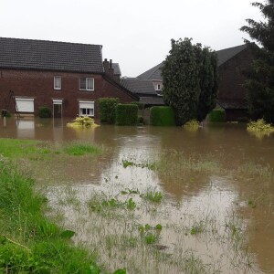 Wateroverlast mei 2024 - Plantendokter Willy over de gevolgen van overstroming voor de tuin