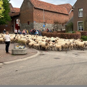 Anne Lefevre over film 'Mergellander' en Transhumance
