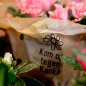 Plantjesweekend: Verkoop van azalea's voor 'Kom op tegen kanker'