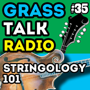 GTR-035 - Stringology 101