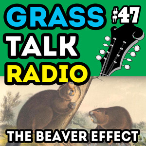 GTR-047 - The Beaver Effect
