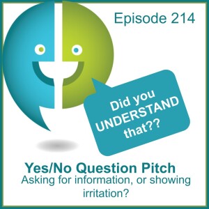 214: Yes/No Pitch Patterns