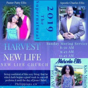Healing of the Canaanites daughter