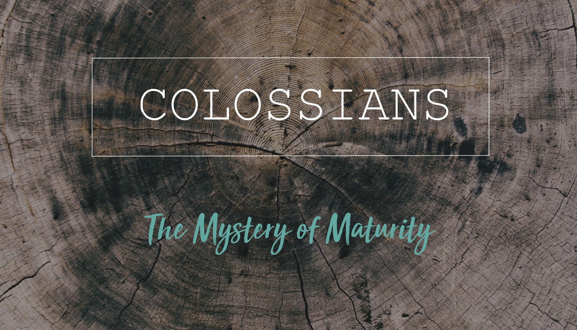 "What Our Prayers Reveal" (Col 1:9-14)