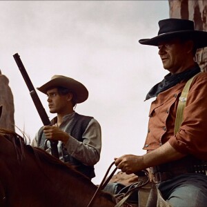 78 - The Searchers