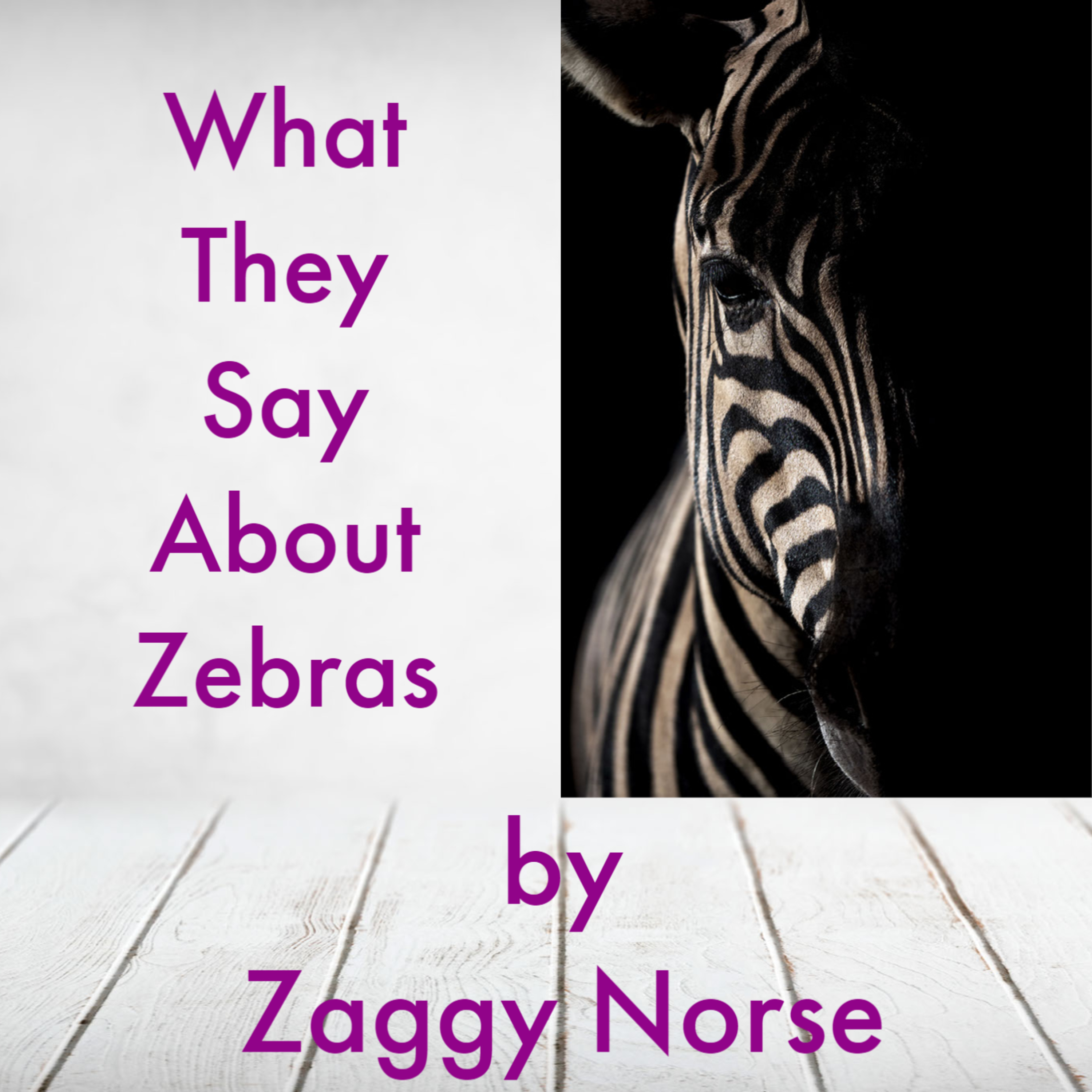 S1E18 - What They Say About Zebras by Zaggy Norse