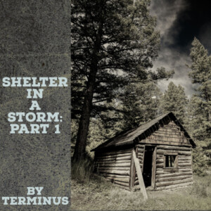 S2E3 - Shelter In A Storm - Part 1 by Terminus