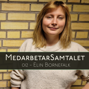 12 Sektionschef Elin Bornefalk