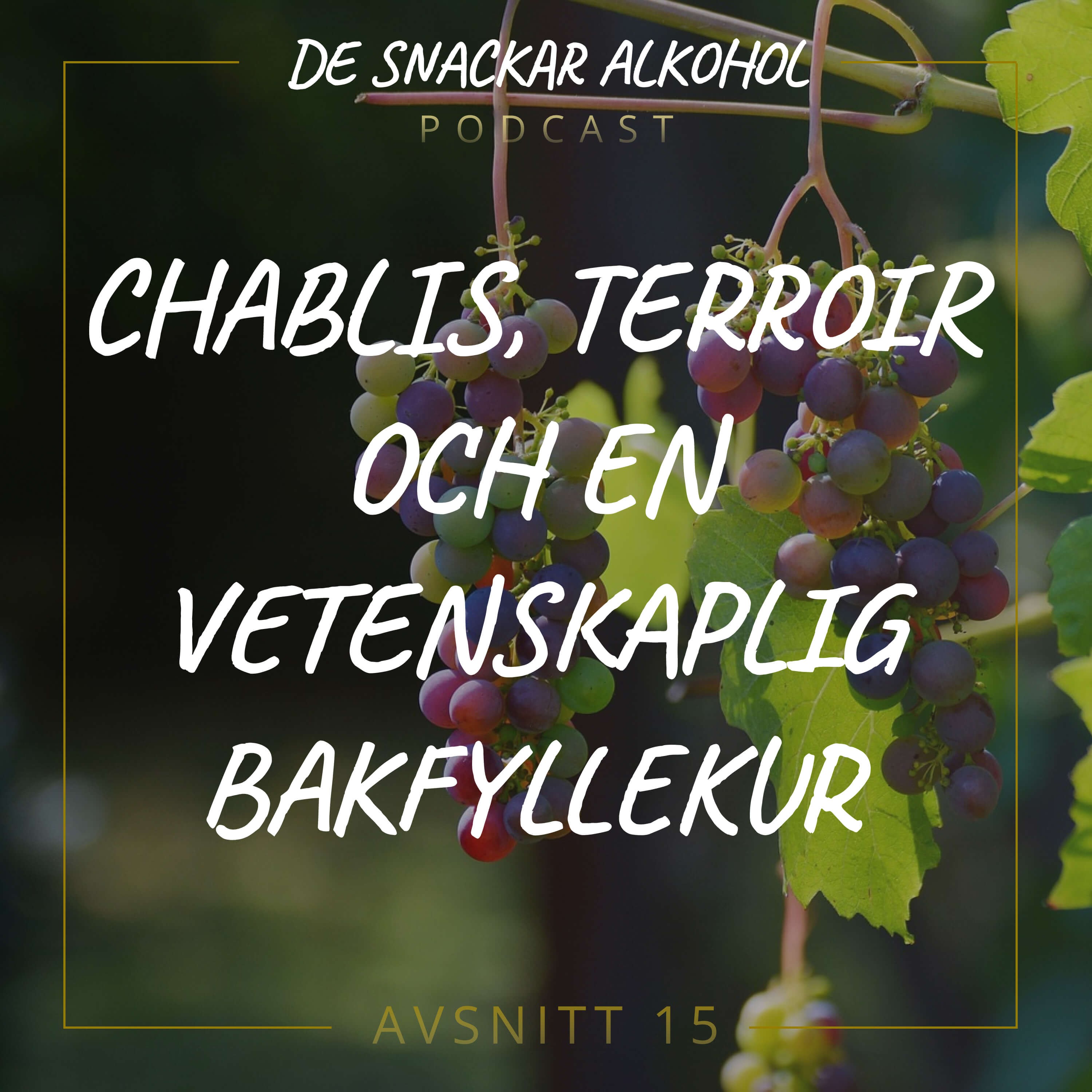 De Snackar Alkohol