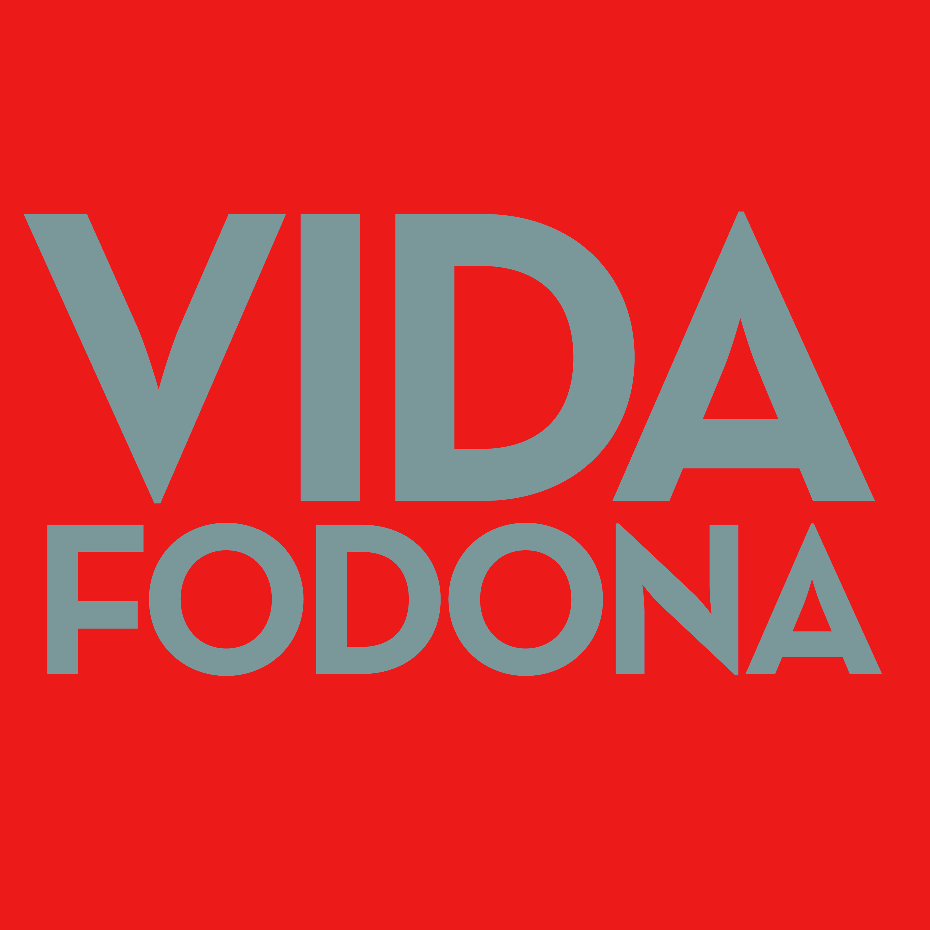 Vida Fodona #564: É assim que a vida segue