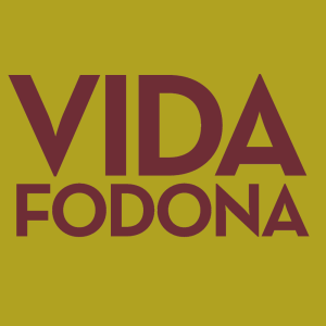 Vida Fodona #584: Conectar as coisas boas