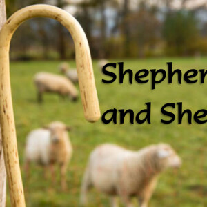 Shepherds & Sheep, Part 2: Fireside Chat