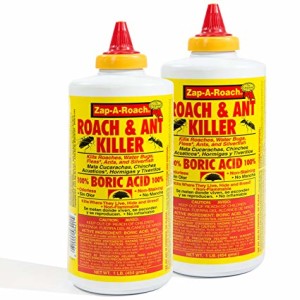 Bed Bugs and Boric Acid