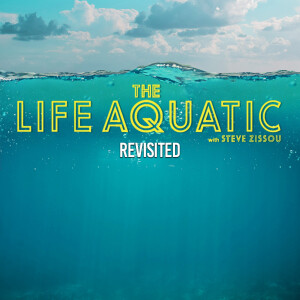 The Life Aquatic with Steve Zissou (2004) revisited