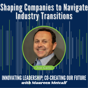 S2-Ep38: Shaping Companies to Navigate Industry Transitions