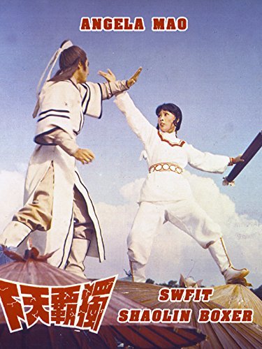 THE SWIFT SHAOLIN BOXER DISCUSSION 