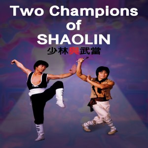TWO CHAMPIONS OF SHAOLIN DISCUSSION