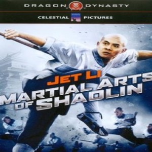 MARTIAL ARTS OF SHAOLIN DISCUSSION 