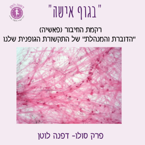 פרק 28- רקמת החיבור (פאשיה) 