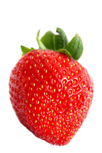 Introduction Strawberry