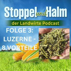 Folge 3 - Luzerne anbauen: 8 Vorteile, sowie Landwirte-Nachrichten aus KW 8 inklusive aktuelle Marktpreise