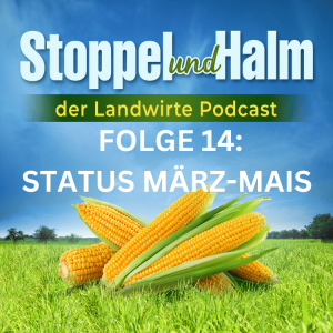 Folge 14: Mais im März gesät: So sieht es jetzt aus. Außerdem Landwirte-News und Marktpreise aus KW 19 2023