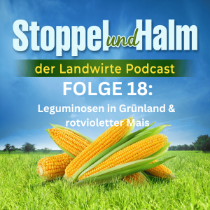 Folge 18: Leguminosen in Grünland nachsäen und rotvioletter Mais. Dazu Landwirte-News KW 23 2023