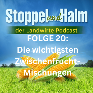 Folge 20: Die wichtigsten Zwischenfrucht-Mischungen, dazu Landwirte-News sowie Marktpreise aus KW 25