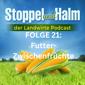 Folge 21: Futter-Zwischenfrüchte: das müssen Sie wissen. Außerdem Landwirte-News und Marktpreise aus KW 29 2023