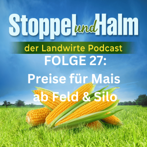 Folge 27: Preise Mais ab Feld und Silo 2023. Dazu Agrar-News sowie Marktpreise KW 35
