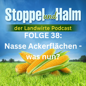 Folge 38: Nasse Ackerflächen - was nun? Dazu Agrar-News und Marktpreise KW 2