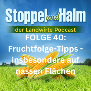 Folge 40: Fruchtfolge auf nassen Ackerflächen