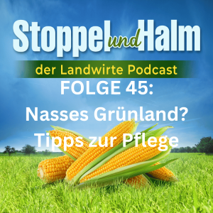 Folge 45: Nasses Grünland? 5 Tipps zur Frühjahrs-Pflege - dazu Markttelegramm und aktuelle Landwirte-Nachrichten