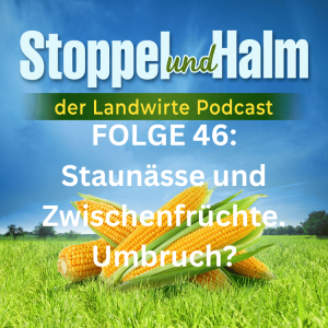 Folge 46: Wie und wann bricht man Zwischenfrüchte um, die lange unter Wasser standen? Hole Dir unsere Tipps zum Umbruch von Zwischenfrüchten - dazu Markttelegramm und aktuelle Landwirte-Nachrichten