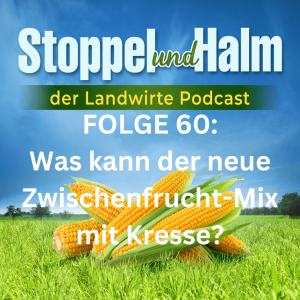 Folge 60: Welche Vorteile bringt die neue Zwischenfrucht-Mischung Krasse Kresse mit sich? Tipps zurm Anbau