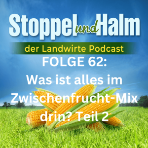 Folge 62: Die wichtigsten Komponenten Zwischenfrucht-Mischungen Teil 2