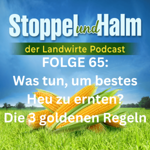 Folge 65: Bestes Heu ernten! Wie helfen mir die 3 Goldenen Regeln?